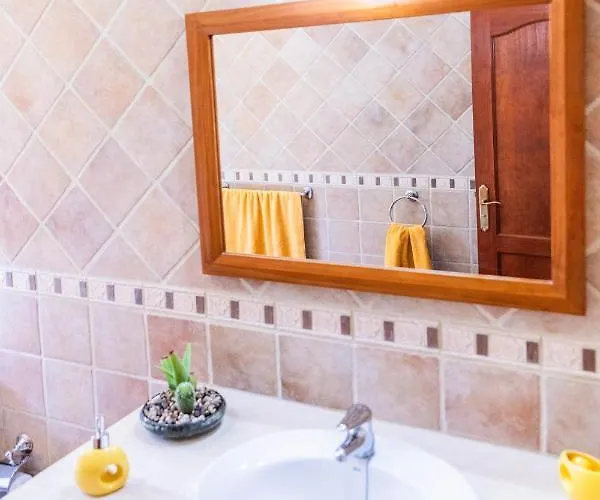 Rosa De Dom wakacyjny *